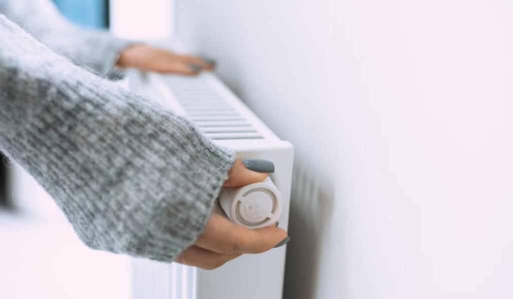Radiator ventilator